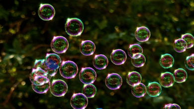 clipart:8m0a5tylgc8= bubble