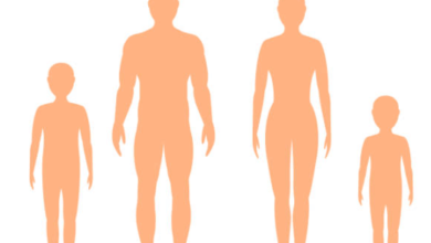 Female:_Lx0kbbdk3q= Human Body Outline