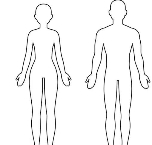 Female:_Lx0kbbdk3q= Human Outline