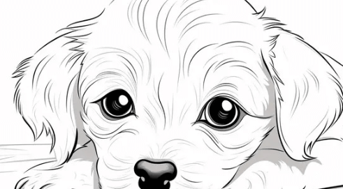 Cute:1z3gnwg-Pji= Dog Coloring Pages