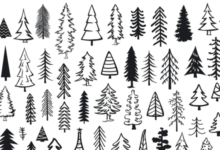 Cute:4tyv4g2vqmo= Christmas Tree Drawing