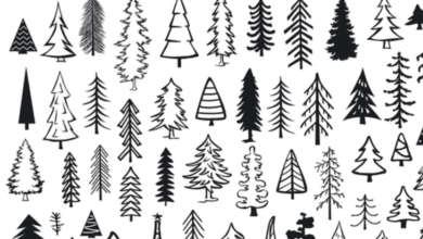 Cute:4tyv4g2vqmo= Christmas Tree Drawing