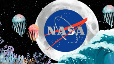 Why Nasa Stopped Exploring the Ocean