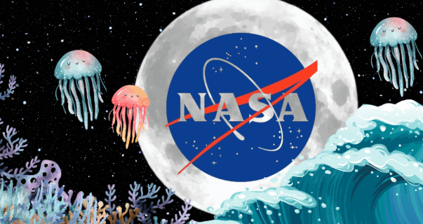 Why Nasa Stopped Exploring the Ocean