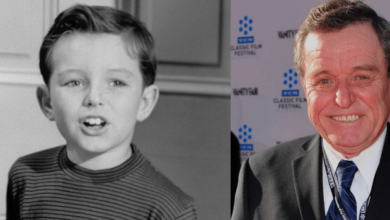 What Is Jerry Mathers Net Worth