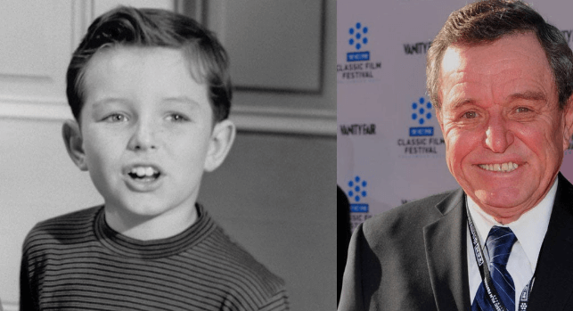 What Is Jerry Mathers Net Worth