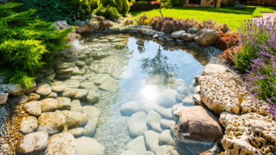 Natural Pond