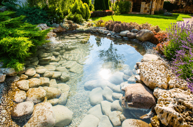 Natural Pond