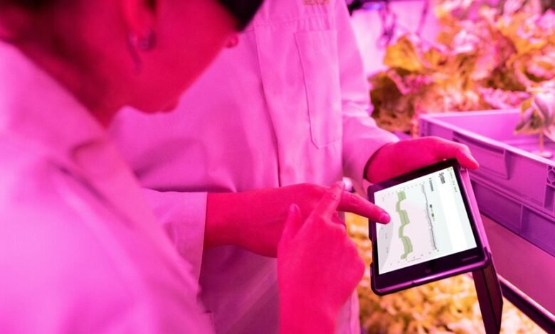 enhance growth with technology