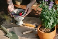 optimize your digital growth