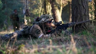 innovative strategies in progress