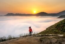 innovative visionary initiatives