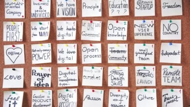 transformative creative projects initiated