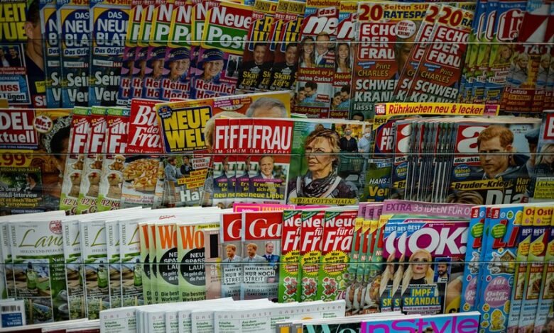 media content discovery portal