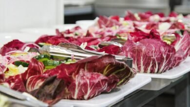 nutrition digestive query portal challenge