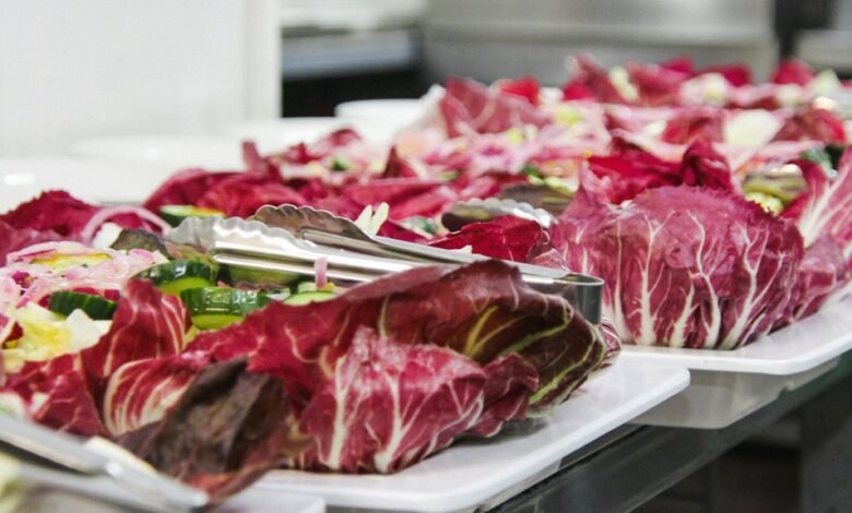 nutrition digestive query portal challenge