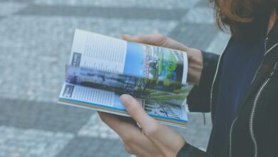 profile lookup discovery guide reveal