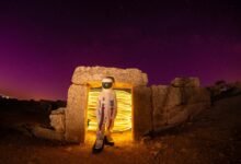 social username discovery portal