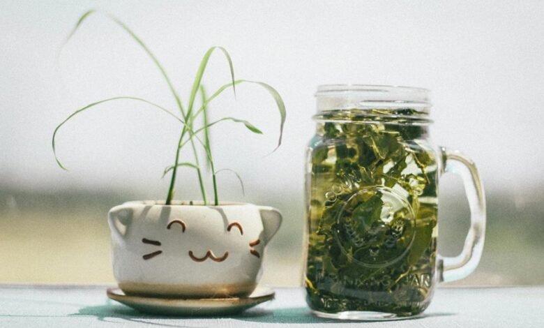 swedish language keyword research hub