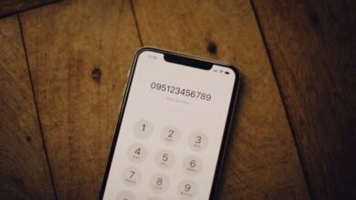 browse number registry insights for four numbers