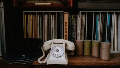 browse phone number registry records