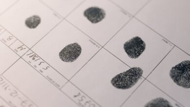 public registry numbers queried
