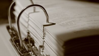 public registry report search ids