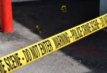 registry entries reveal investigations details