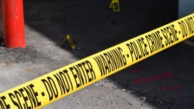 registry entries reveal investigations details