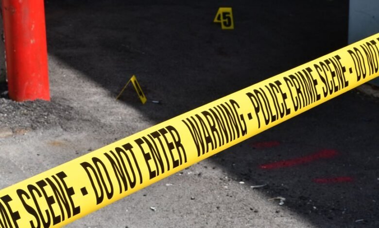 registry entries reveal investigations details