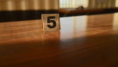 registry lookup results for five numbers