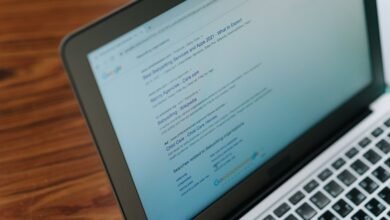registry search results identifiers listed