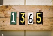review registry profiles numbers