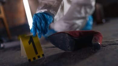 verified registry evidence for listed ids